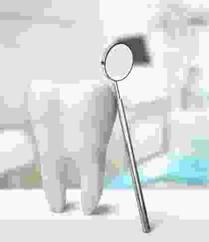 img-caption17